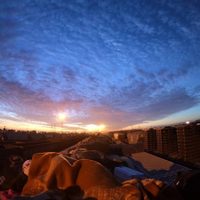 Migrantes aportan beneficios a todas las sociedades: UNESCO