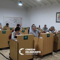 Concejales de Plottier rechazaron que el boleto estudiantil neuquino gratuito llegue a la ciudad