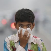 Alerta por contaminación en India: tuvieron que cerrar las escuelas de Nueva Delhi