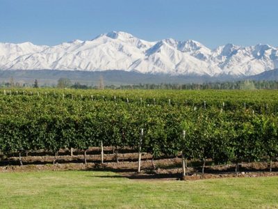 Los mejores Malbec de Argentina según revista especializada