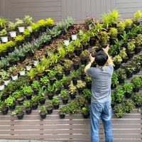Las bellas plantas de pocos cuidados que son perfectas para armar un pequeño jardín vertical