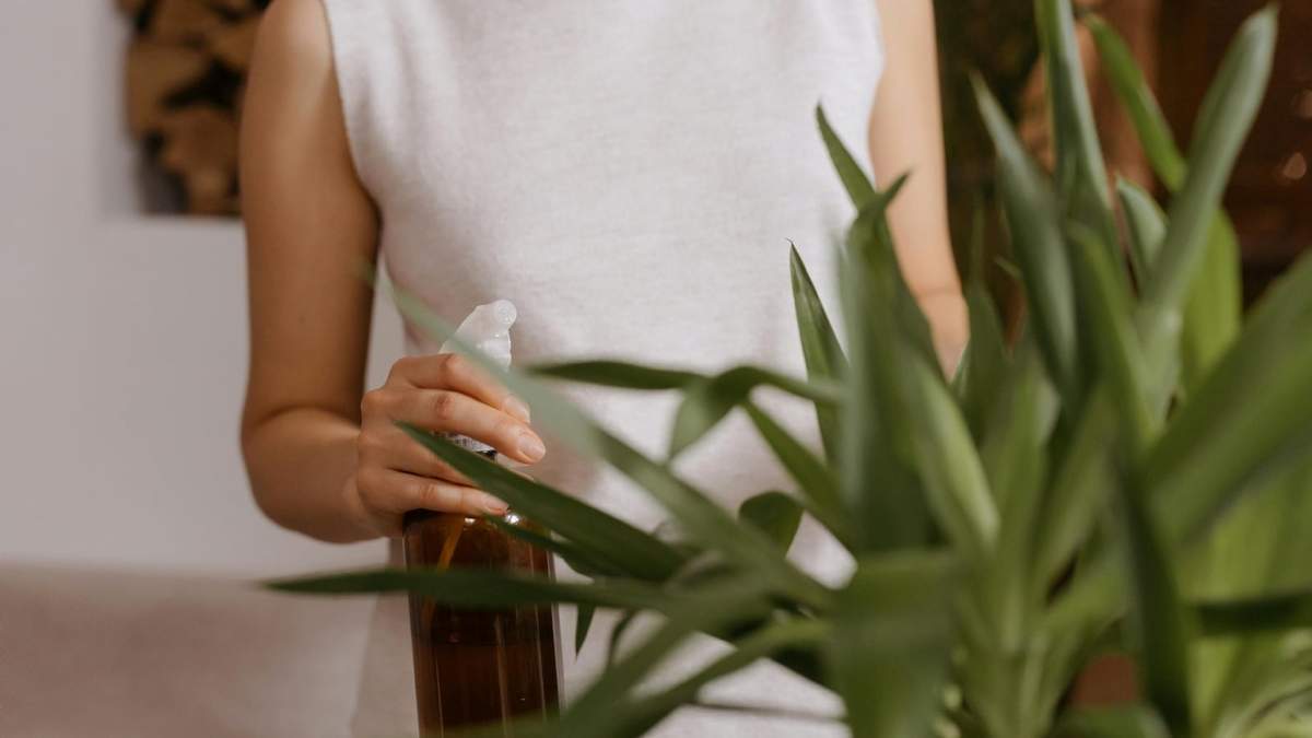 Con ingredientes que seguramente tenés en casa, podés brindarles a tus cultivos los nutrientes esenciales.