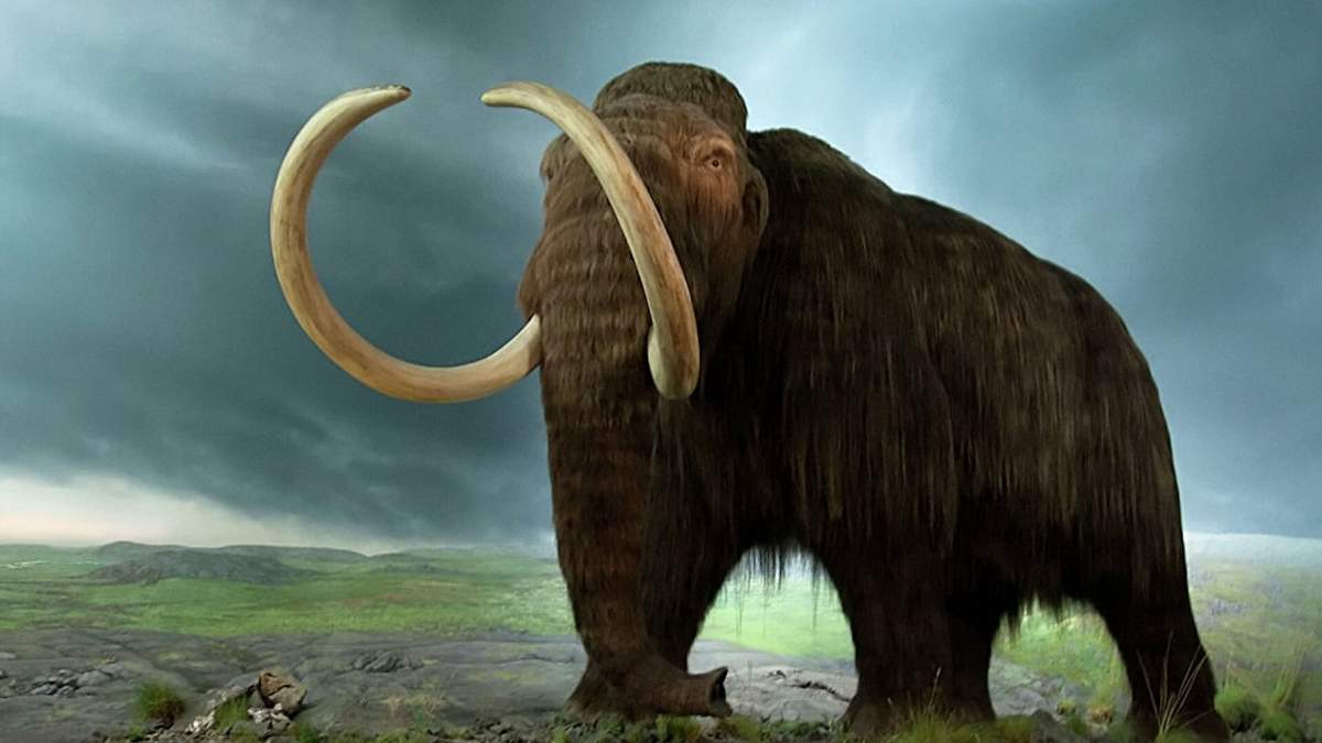 Ilustración de un mamut. Fuente: (Twitter)