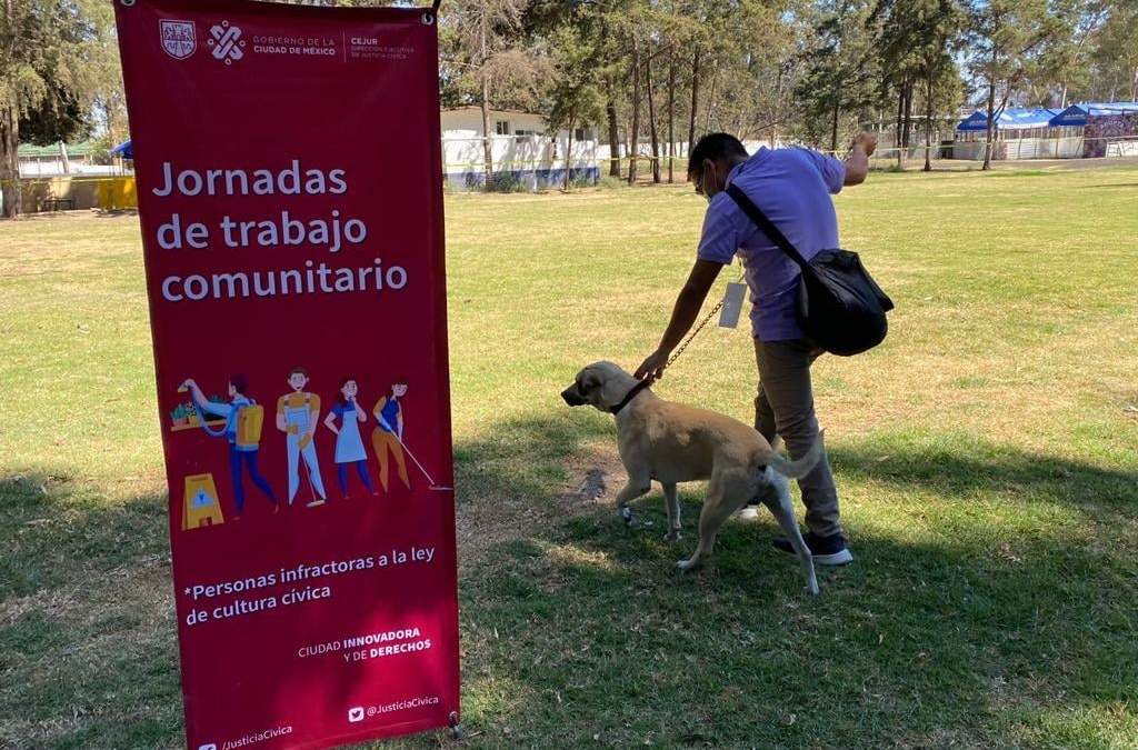 Pasear perros forma parte del trabajo comunitario en CDMX