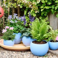 Qué pasa si ponés un palito de madera con cobre en tus plantas: el secreto de los jardineros que no conocías