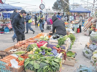 Neuquén Capital: las ferias pueden funcionar con protocolo
