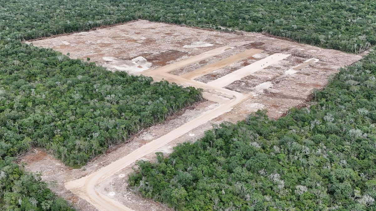 Los trabajos afectaron 13.7 hectáreas de selva