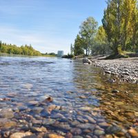 Río Limay: evalúan la calidad del agua antes de habilitar los balnearios