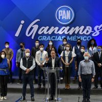 PAN: otro partido en extinción