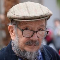 Javier Villalobos Jaramillo, restaurador (1941-2017)