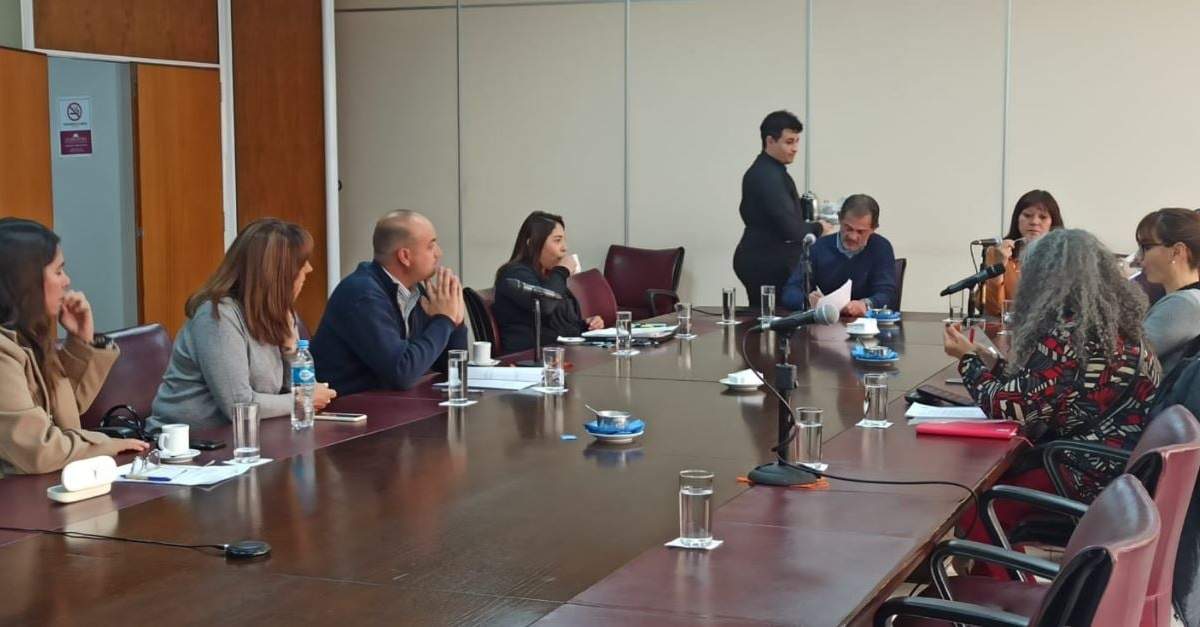 Legisladores de la comisión de Asuntos Municipales, Turismo y Transporte. Fuente: (Legislatura Nqn)