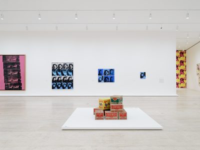 Andy Warhol en el Museo Jumex