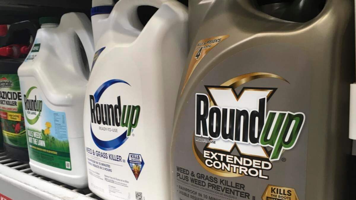 Bidones del herbicida Roundup en una estantería en San Francisco, 24 de febrero de 2019