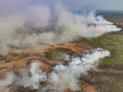 Brasil: Peligra fauna, vegetación y casas por incendios en el mayor humedal del mundo