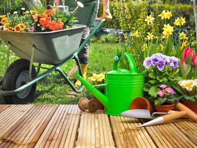 No lo mates: el insecto que se camufla entre tus plantas y es un tesoro para tu jardín