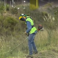 En un operativo nocturno limpiaron y desmalezaron más de 10 kilómetros de la Ruta 7