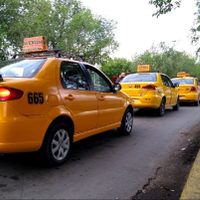 A preparar el bolsillo: se viene otro aumento en la tarifa de taxis en Neuquén
