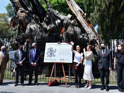 Rebautizan el "Árbol de la Noche Triste"; ahora es el "Árbol de la Noche Victoriosa"