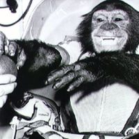 Se cumplen 62 años del primer primate en el espacio