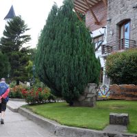 El municipio de San Martín de los Andes pidió disculpas por la mala atención de una pizzería
