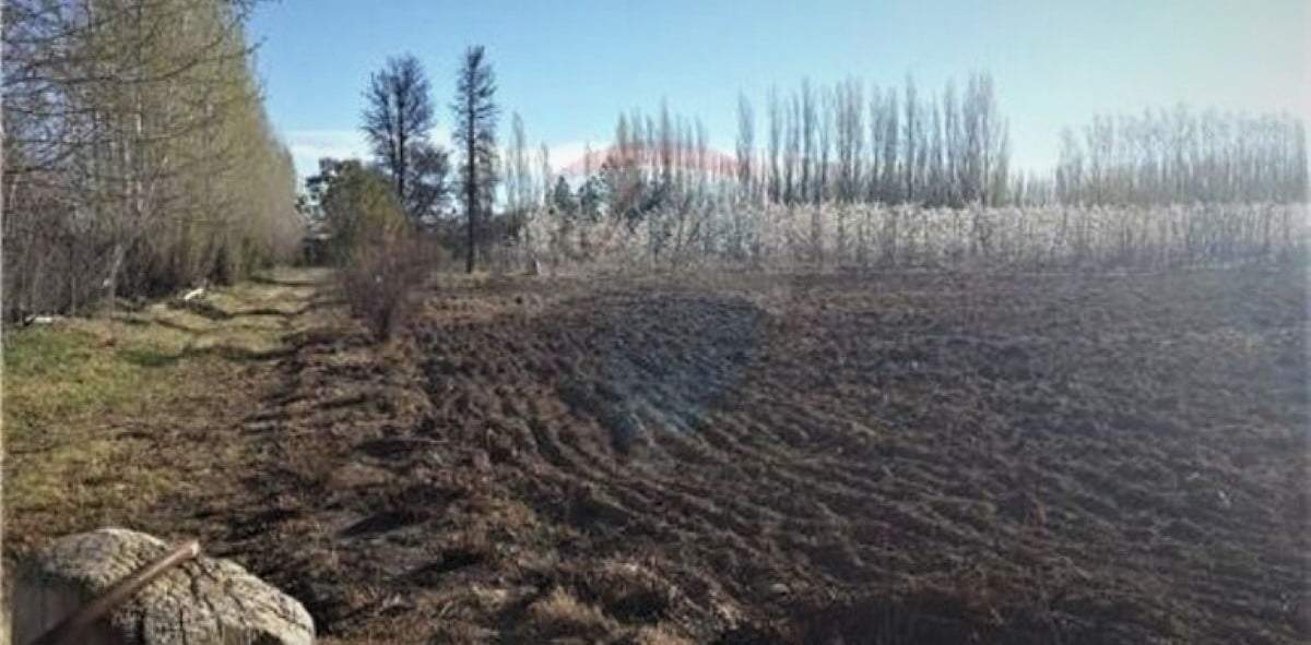 Valentina Sur Rural. Fuente: (Twitter)