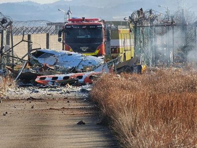 Al menos 23 muertos en un accidente de avión en el aeropuerto de Muan, en Corea del Sur (Video)