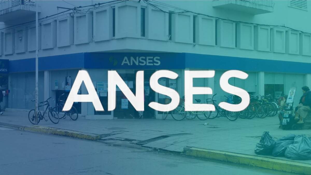 ANSES. Foto: (Twitter)