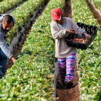Buscan incentivar con beneficios impositivos a productores agroecológicos en Plottier
