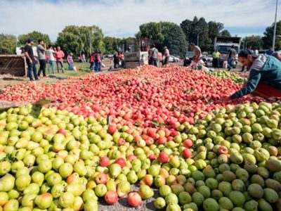 Cuántos millones se perdería el Alto Valle por la cancelación de las exportaciones a Rusia