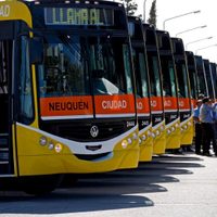 La Municipalidad de Neuquén transfirió anticipos millonarios a las empresas de colectivos