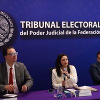 “Los senadores no van a hacer otra cosa que correr la tómbola”: magistrado