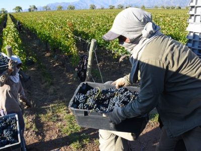 Productores y contratistas sin acuerdo: crece la incertidumbre
