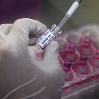 Brasil comenzó a hacer pruebas con la vacuna de Oxford contra el coronavirus