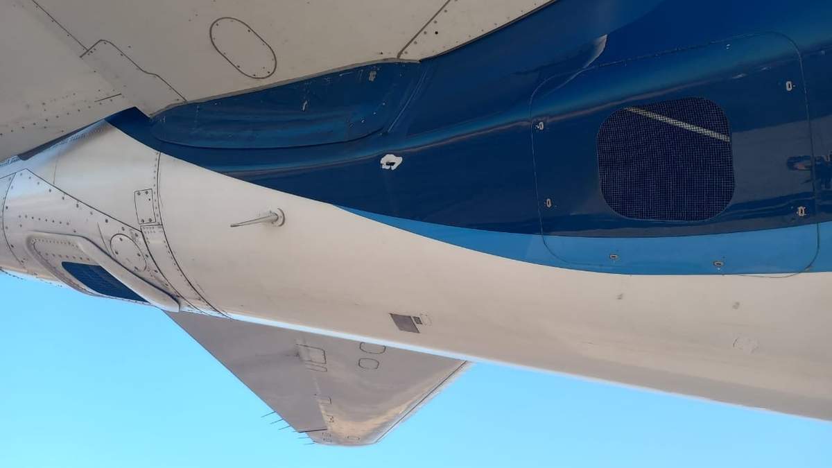 El vuelo dañado