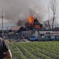 Siete mujeres fueron asesinadas el domingo en distintos hechos, en el Edomex