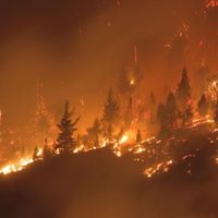 Incendios forestales en la Comarca Andina: un informe revela que fueron intencionales