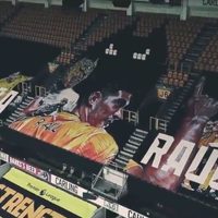 Los Wolves dan muestras de apoyo a Raúl Jiménez tras fractura en el cráneo