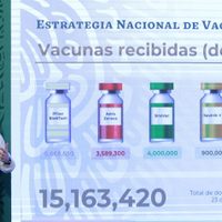 López-Gatell llama a no generalizar ni desinformar sobre el caso de la falsa vacunación