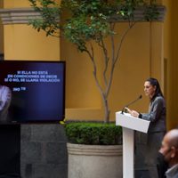 "Cuando realmente haya acceso a la justicia, a los hombres sí les va a dar miedo": ADIVAC en el 25N