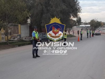 Operativos policiales en la región permitieron secuestrar drogas, municiones y vehículos
