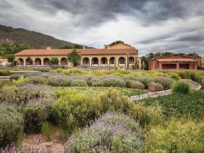 Las bodegas de Argentina preocupadas por el futuro