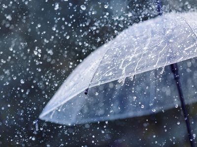 Alerta meteorológica por viento y lluvia para este sábado: las tres provincias que se verán afectadas
