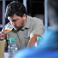 Tero Rengo, el vino más elogiado del Chañar