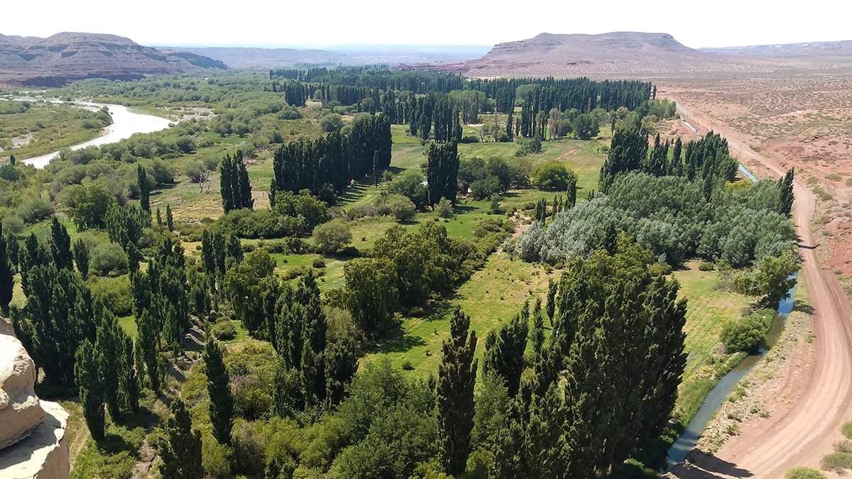 Quili Malal, paraje rural. Fuente: (Twitter)