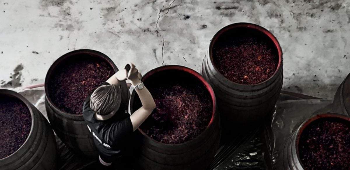 La venta online de vino  es la principal salida. Fuente: (Facebook)