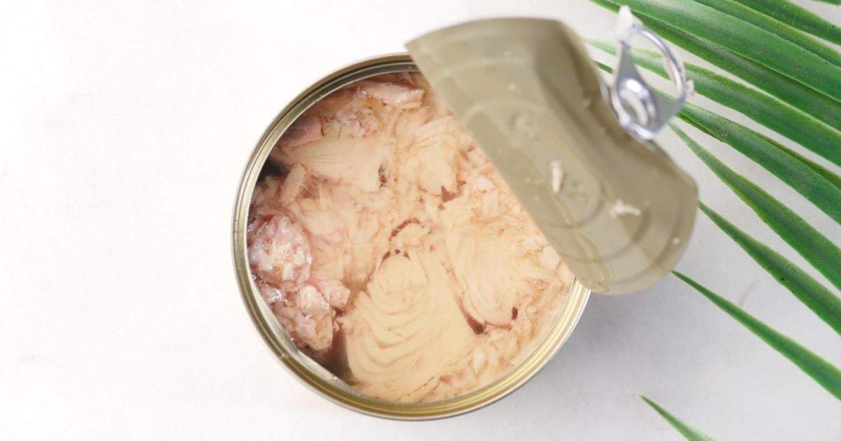 Latas de atún. Fuente: (Instagram)
