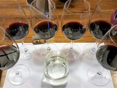 Por primera vez, Bodega Lagarde saca al mercado un blend de tres uvas tintas
