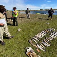 Operativos de pesca: se labraron 27 actas y se secuestraron 72 salmónidos en el río Limay Medio