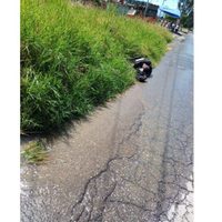 Atentan en el Edomex contra alcaldesa de Pilcaya, Guerrero; dos policías murieron