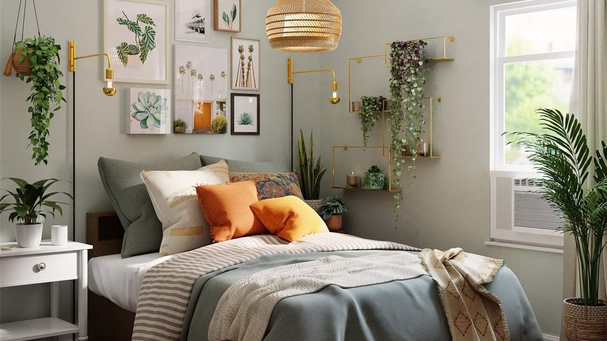 Plantas. Fuente: (X)